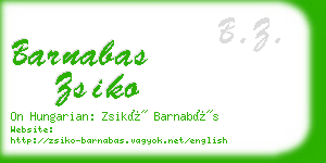 barnabas zsiko business card